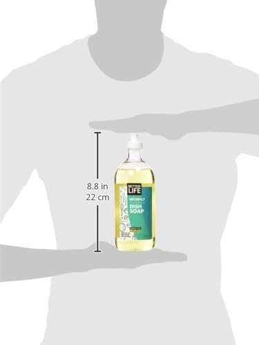 Better Life Dish Soap - Liquid Dishwashing Soap with Vitamin E and Aloe for Home & Kitchen Sink - No Gloves Required Kitchen Soap for Sensitive Skin - 22oz Lemon Mint