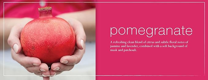 Mangiacotti Kitchen and Bath Surface Cleaner Plant-Based Concentrated Liquid Household Cleanser, 14-Ounce, Pomegranate