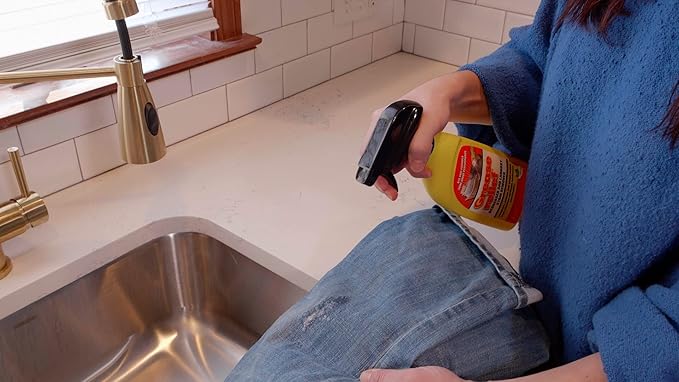 Degreaser and Laundry Stain Remover - Heavy Duty Kitchen Cleaner Spray/All Purpose Degreaser for Stove Top, Oven, Grill, Car, Soil & Cloth Stains (2 Pack) (524919)
