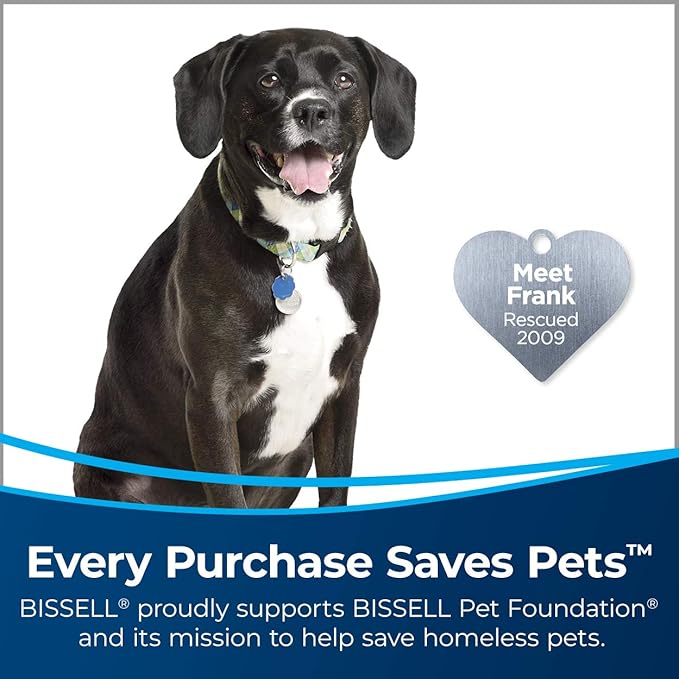 BISSELL PowerFresh Pet Steam Mop 19404 Hard Floor Steamer with Odor‑Eliminating Scent Discs, Easy Scrubber for Tough Messes, 2 Steam Levels, Sanitizes