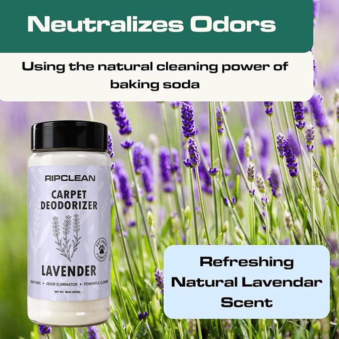 Ripclean Carpet Deodorizer & Freshener Cleaning Powder, Odor Eliminator for Strong Odors & Homes w/Pets, Safe around Kids & Pets, Use on Carpet, Rugs, Upholstery & More (16 Ounce, Lemon)