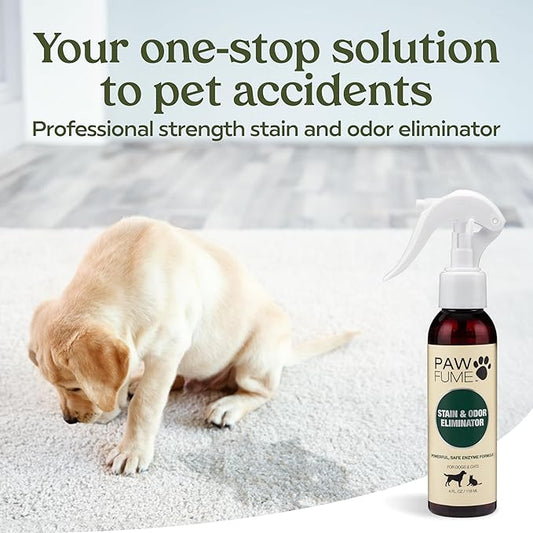PAWFUME Stain & Pet Urine Odor Eliminator, 1-Pack – Removes Impurities in Seconds – Enzymatic Formula, Quick-Dry Action, & Eco-Friendly Ingredients – Upholstery, Fabrics, and Carpet Cleaner Spray