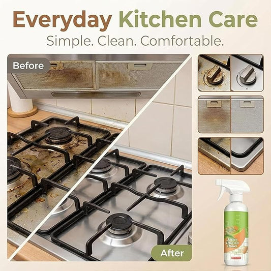 Electrolyzed Ion Kitchen Cleaner Spray - Electrolyzed Ion Kitchen Cleaner for Kitchen,Multi-purpose Household and Kitchen Cleaning Spray