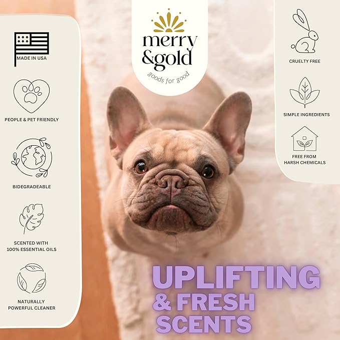 Merry & Gold Carpet Freshener & Deodorizer Powder - 31oz | Pet Odor Eliminator for Strong Odors | Safe for Homes with Pets | Made in USA | Natural Ingredients (Lavender)