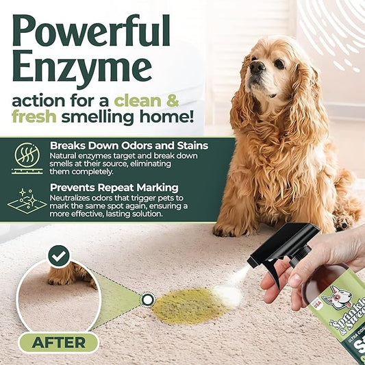 Sprinkle & Sweep: Pet Stain & Odor Enzyme Spray - 24oz, 2 Pack - No Scrubbing Concentrated Formula, Dog & Cat Urine Destroyer, Carpet Spot Cleaning