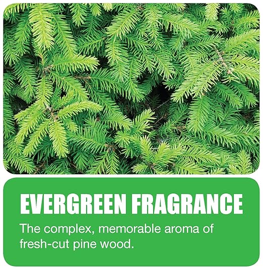 Big D 675 Toilet Bowl Rim Hanger with Non-Para Block, Evergreen Fragrance, 1500 Flushes (Pack of 12) - Ideal for restrooms in offices, schools, restaurants, hotels, stores, White