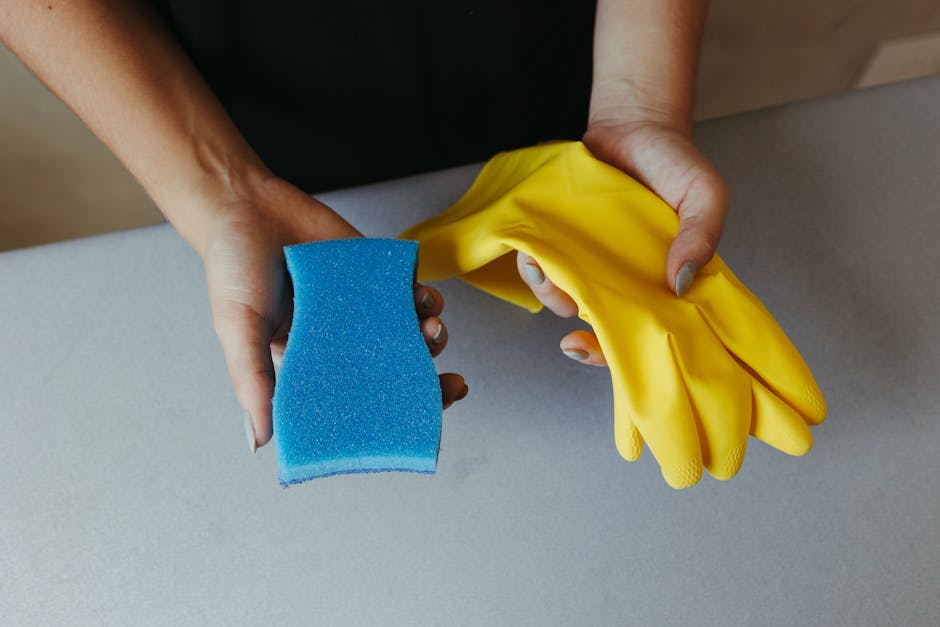 Kitchen Cleaning Tips for Summer Food Safety
