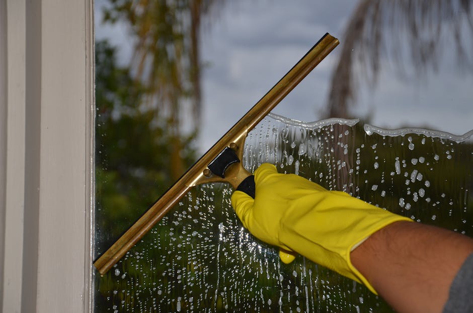 Summer Cleaning Series Part 3: Windows, Screens, and Blinds
