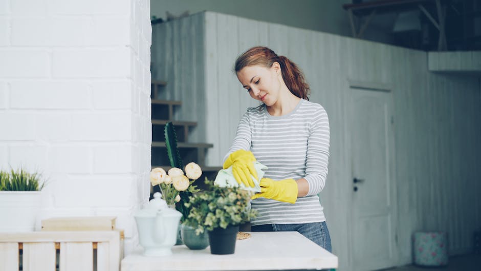 Summer Cleaning Series Part 7: Streak-Free Windows and Spotless Screens