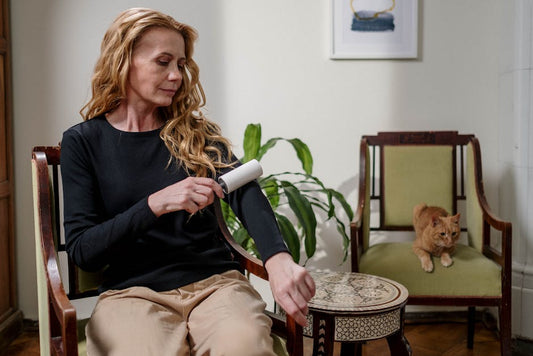 Best Pet Hair Removal Tools in 2026: Top Picks for Every Surface