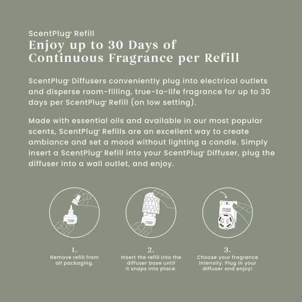 Yankee Candle Silver Sage & Pine ScentPlug Refills (Pack of 4)