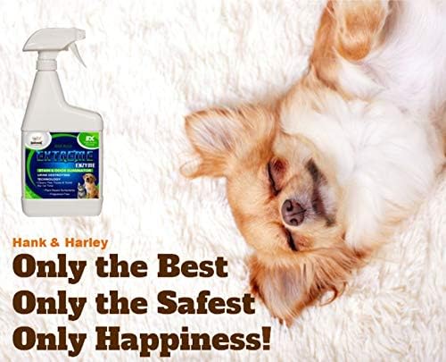 EXTREME ENZYME, PET STAIN & ODOR ELIMINATOR - Concentrate, makes 2 gallons. Triple action bio-enzymatic cleaners and plant based surfactants break down pet mess forever. FRAGRANCE FREE, makes 256 oz