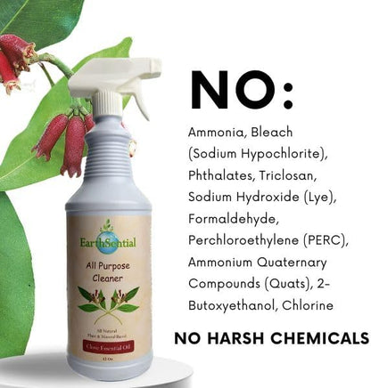 Clove All Purpose Cleaner, Plant-Based, 5 Ingredient Formula, 32 oz Spray Bottle