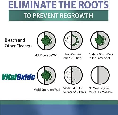 Vital Oxide Disinfectant, Deodorizer, Cleaner, Food-Contact Sanitizer, Virucide – (EPA registration #82972-1) – Kills Mold & Mildew, Eliminates Odors –32 oz, 2 Pack