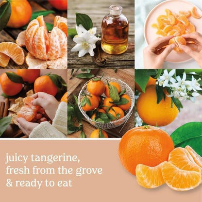 Yankee Candle ScentPlug Refill, Tangerine & Vanilla (Pack of 4)
