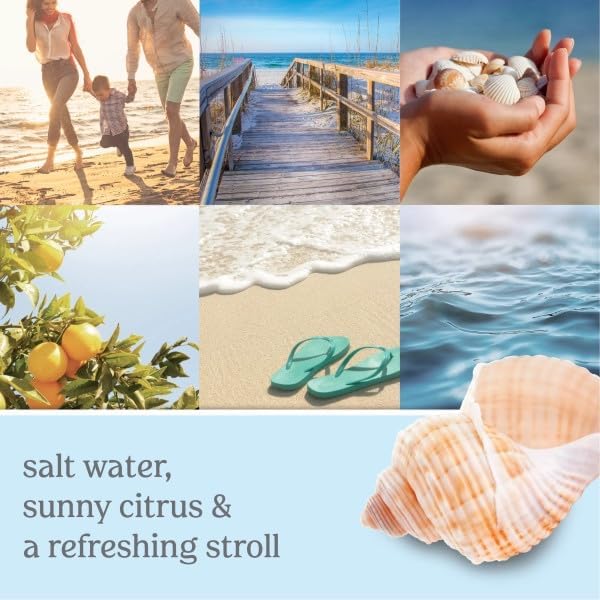 Yankee Candle Beach Walk Home Fragrance Refills: Salt Water, Sea Musk & Tangerine (Pack of 4)