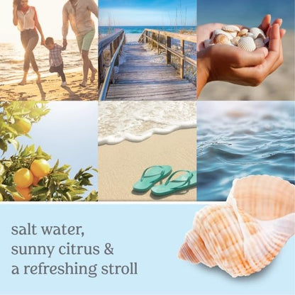 Yankee Candle Beach Walk Home Fragrance Refills: Salt Water, Sea Musk & Tangerine (Pack of 4)