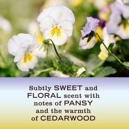 Mrs. Meyer's Clean Day Room Freshener, Compassion Flower Scent, 8 Fl Oz (Pack of 6)