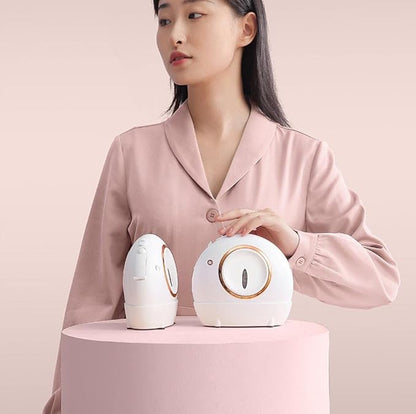 Handheld Steam Iron for Clothes Portable Dry Wet Dual Use Garment Steamer 1000W Ironing Machine for Household Travel Use