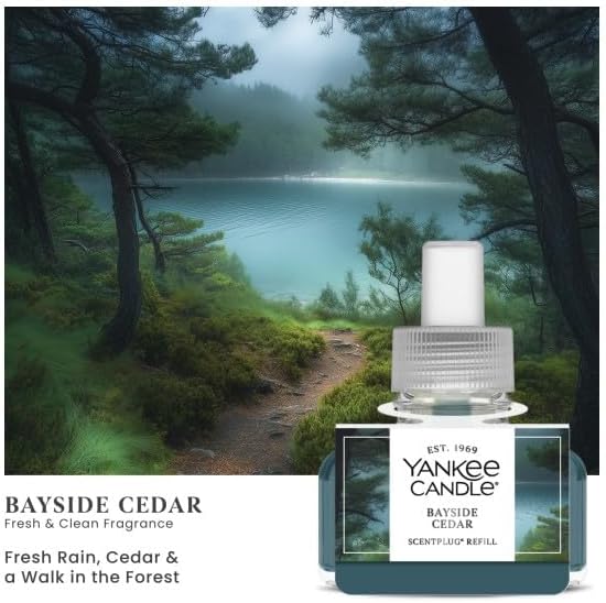 Yankee Candle Bayside Cedar ScentPlug Refills (Pack of 4)