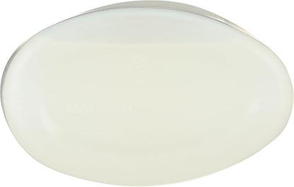 365 by Whole Foods Market, Toilet Bowl Cleaner, Citrus Scent, 24 Fl Oz
