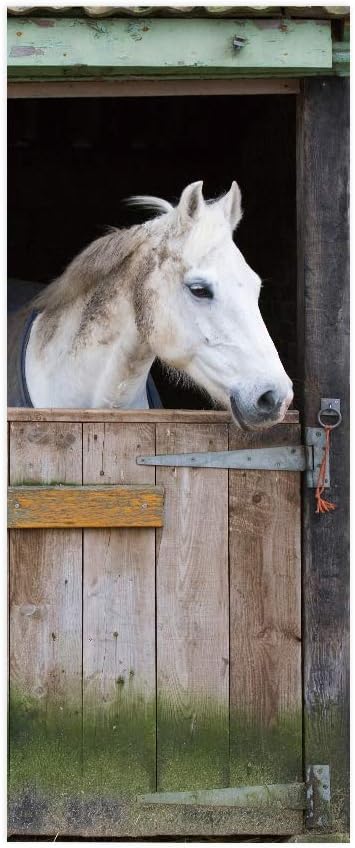 Horse 3D Door Stickers Murals - Peel & Stick Waterproof Washable Matt Finish Rustic Style Animal Print Removable 37.4" x 84.6"