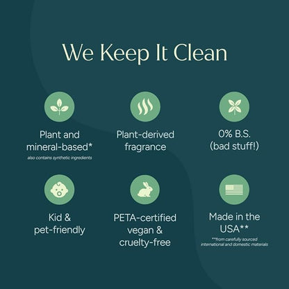 Puracy Multi-Surface Cleaner Spray - Plant-Powered All Purpose Cleaner - Surface Cleaner Solution As Seen on TikTok (Green Tea & Lime, 16 fl oz, 3 Pack)