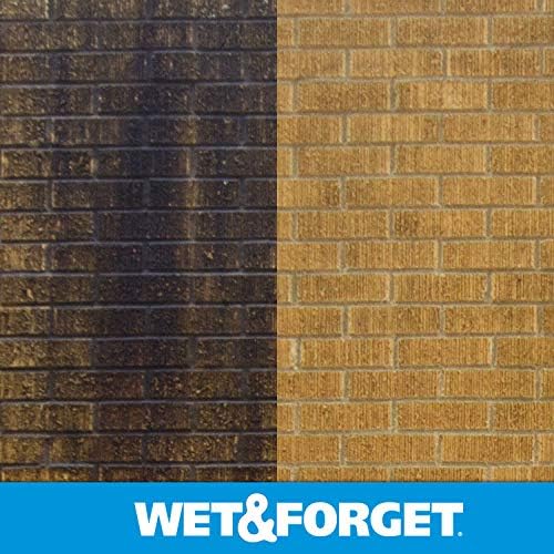 Wet & Forget Moss, Mold, Mildew, & Algae Stain Remover Multi-Surface Outdoor Cleaner Concentrate, Original, 64 Fluid Ounces