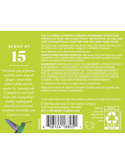 Caldrea Hand Wash Soap, Aloe Vera Gel, Olive Oil and Essential Oils to Cleanse and Condition, Ginger Pomelo Scent, 10.8 oz, 2 Pack