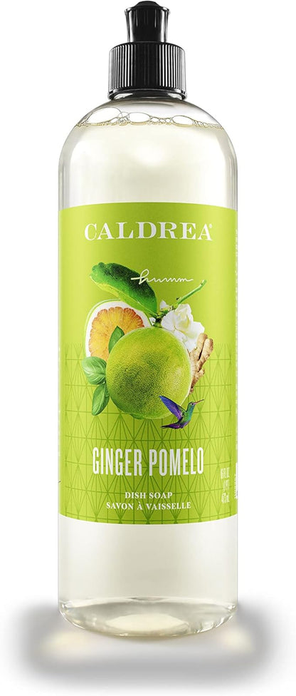 Caldrea Dish Soap, Biodegradable Dishwashing Liquid made with Soap Bark and Aloe Vera, Ginger Pomelo Scent, 16 oz