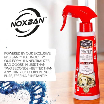 Waypet Pet Urine Enzyme Cleaner, Odor Eliminator & Stain Remover - Neutralizes Odors Fast & Cleans Stains from Cats & Dogs - Use on Carpet, Furniture, Floors - 10.1 Fl Oz