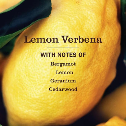 MRS. MEYER'S CLEAN DAY Multi-Surface Everyday Concentrate, Lemon Verbena Scent, 32 Fl Oz Bottle