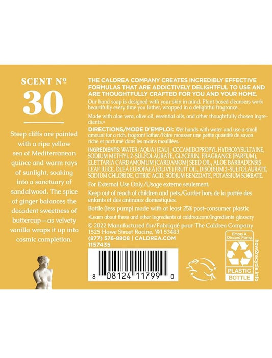 Caldrea Hand Wash Soap, Aloe Vera Gel, Olive Oil And Essential Oils To Cleanse And Condition, Vanilla Quince Santal scent, 10.8 Oz