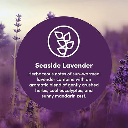 Clean Revolution Natural Fabric Softener Dryer Sheets, 80 Sheets, 160 Loads, Seaside Lavender, Naturally Derived, Sensitive Skin Safe, Made in the USA (Pack of 2)