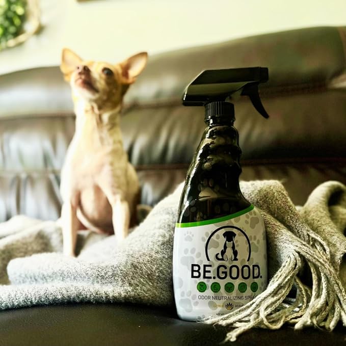 Pet Odor Eliminator Spray for Dog & Cat Urine – Powerful Odor Remover for Carpet, Couch, Upholstery & Car – Natural Non-Toxic, Long Lasting Fresh Scent – 16oz (Citrus Agave)