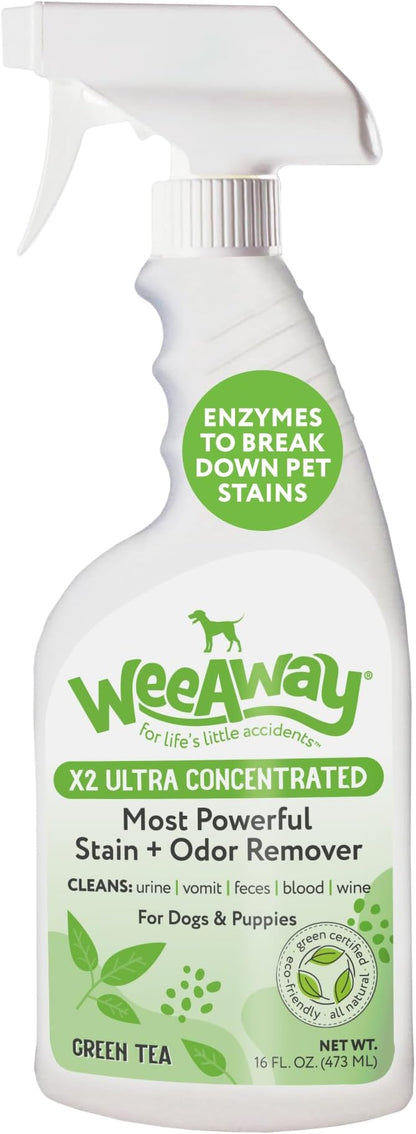 Wee Away X2 Ultra-Concentrated Stain & Strong Odor Eliminator, Enzyme Cleaner, Pet Odor Eliminator for Home - Dog Urine Destroyer - Carpet Cleaner Spray, Green Tea Scent, 16 fl oz