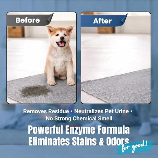 Bioclean Pet Carpet Cleaner & Deodorizer – Eliminates Pet Urine Smell, Stain & Odor Remover, No Residue, Made in USA – 16oz