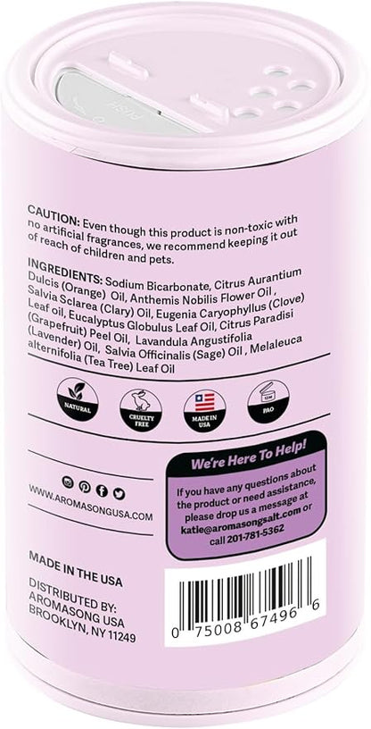 Aromasong Carpet Deodorizer Powder- 2-Pack -100% Natural Lavender Carpet Freshener - Safe For Pets - Carpet Powder For Vacuuming - Effective Pet Odor Eliminator For Strong Odor & Pet Urine - 13 Oz.