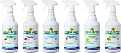 100% Natural All Purpose Cleaner | Plant based | Biodegradeable | Lab Tested | Patented Formula (Lemon/Lime)