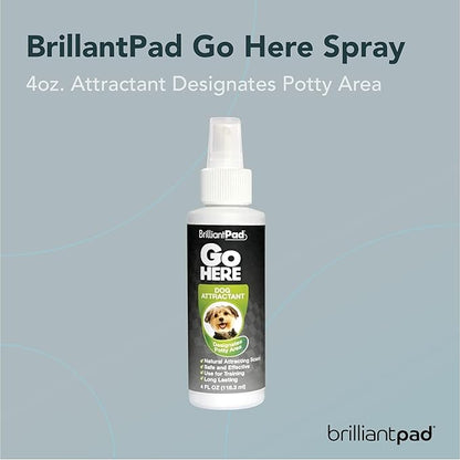BrilliantPad Go Here! Puppy Potty Training Spray | Natural Attractant, Dog & Puppy Home Housebreaking Aid for Pets | Safe for Animals, Furniture & Plants | Use on Pee Pads Indoor & Outdoor | 4oz