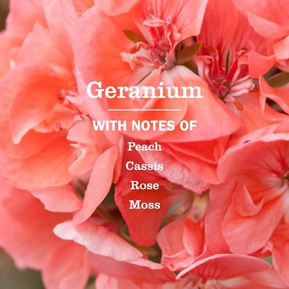 MRS. MEYER'S CLEAN DAY Room Spray, Geranium Scent, 8 Fl Oz Bottle