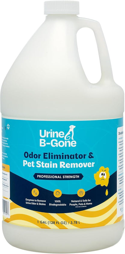 Urine B-Gone, Professional Enzyme Odor Eliminator & Pet Stain Remover, Human, Cat & Dog Urine Cleaner, Effective on Laundry, Carpets & More, Original Scent, 1 Gallon