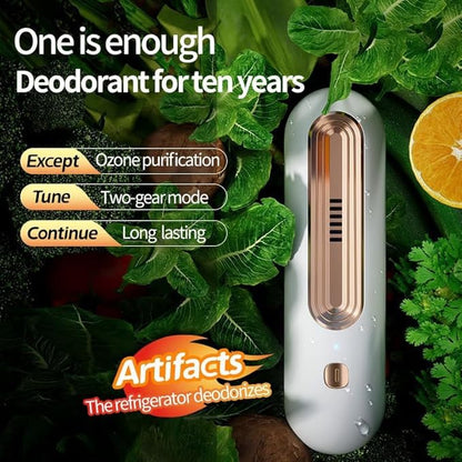 Fridge Deodorizer Odor Eliminator – Powerful Odor Eliminator & Freshness Preserver For Refrigerator, No Filter Replacement–Odor Control For Kitchen, Freezer & Food Storage (Silver)