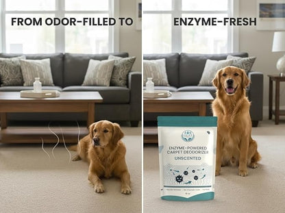 Enzyme-Powered Carpet Deodorizer (Powder) - Unscented | Natural Pet Odor Eliminator | Bio-Enzymatic Formula, Premium Performance, Eco Friendly | 16 oz
