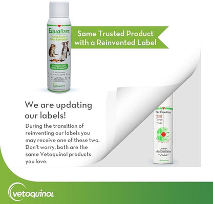 Vetoquinol Equalizer Pet Carpet Cleaner, Stain Remover & Odor Eliminator, Carpet Spot Cleaner, 20oz