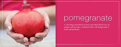 Mangiacotti Kitchen and Bath Surface Cleaner Plant-Based Concentrated Liquid Household Cleanser, 14-Ounce, Pomegranate