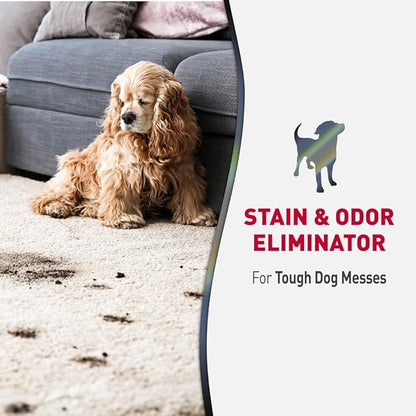 Nature’s Miracle Advanced Stain & Odor Eliminator, Sunny Lemon Scent, Severe Mess Enzymatic Formula For Tough Pet Messes, 1 Gallon