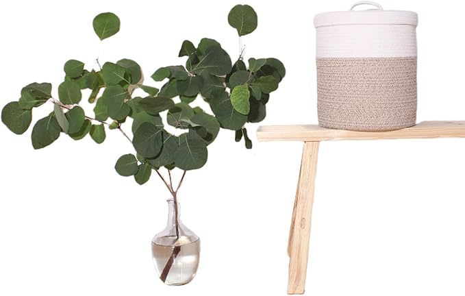 Yimi's Dream Lidded Storage Basket, Medium Cotton Rope Basket with Lid, Small Round Storage Basket for Nursery, Living Room, Kids, Blanket, Toys (12''D * 13.5''H, Brown & White)