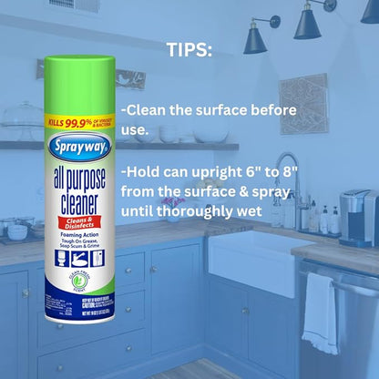 Sprayway All Purpose Disinfectant Cleaner, Foaming Action, 19 Ounce