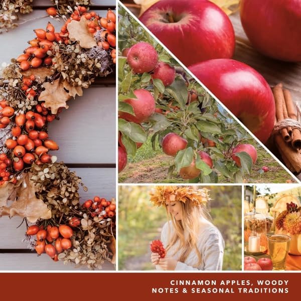 Yankee Candle Autumn Wreath Electric Home Fragrance Scent Plug Refill (Pack of 6)
